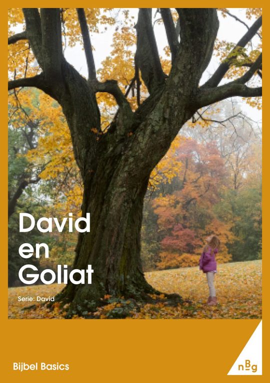 David en Goliat