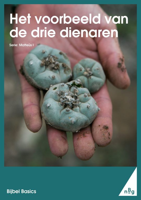 Het voorbeeld van de drie dienaren