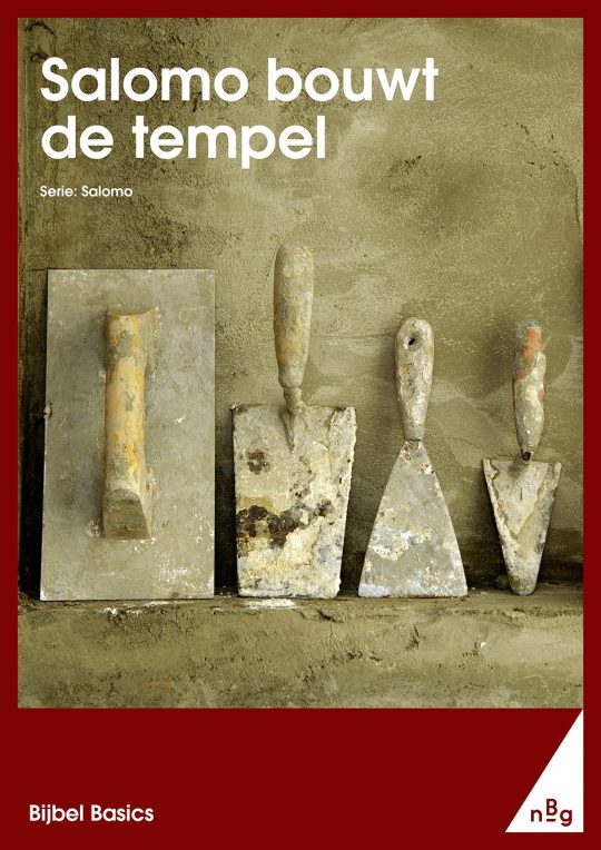 Salomo bouwt de tempel