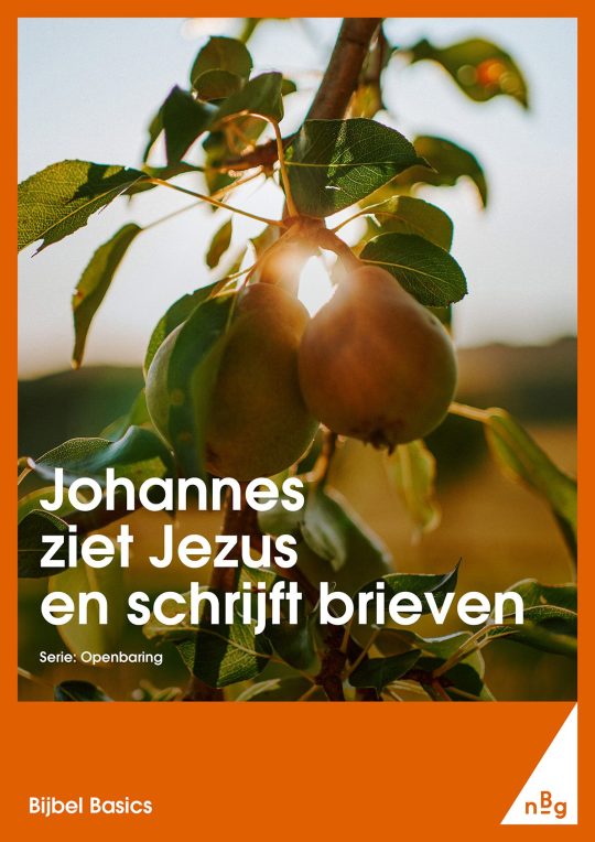 Johannes ziet Jezus en schrijft brieven