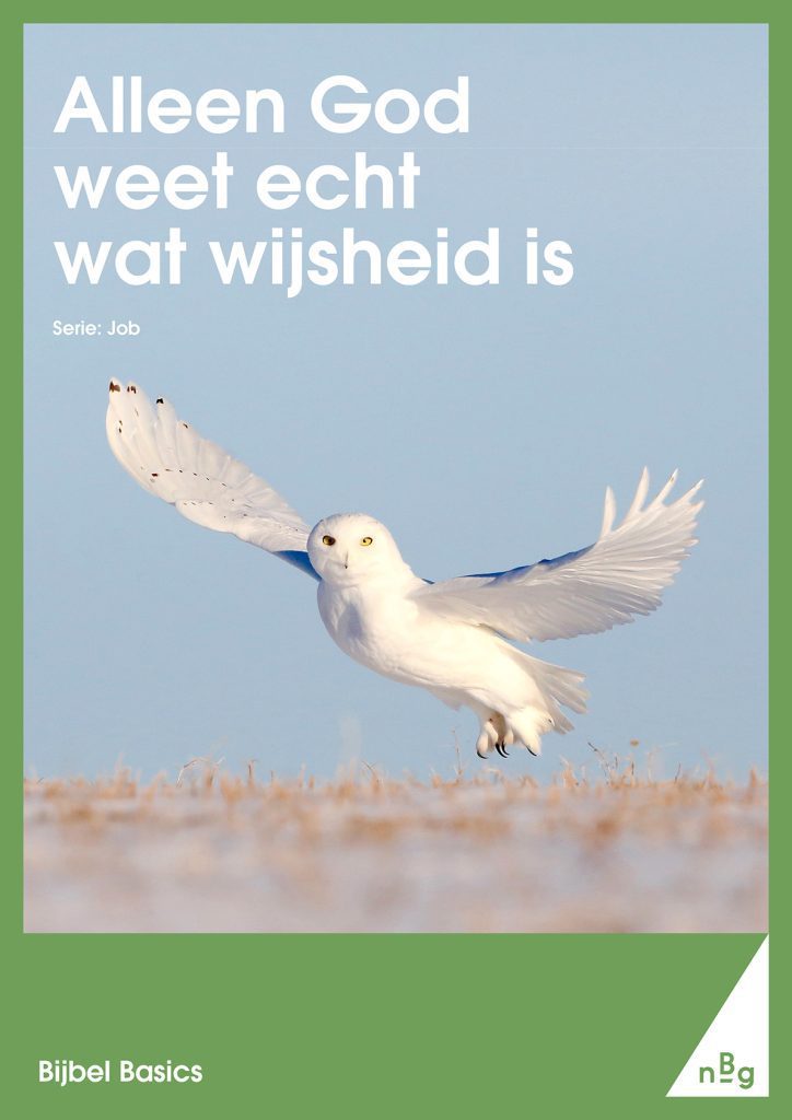 Alleen God weet echt wat wijsheid is