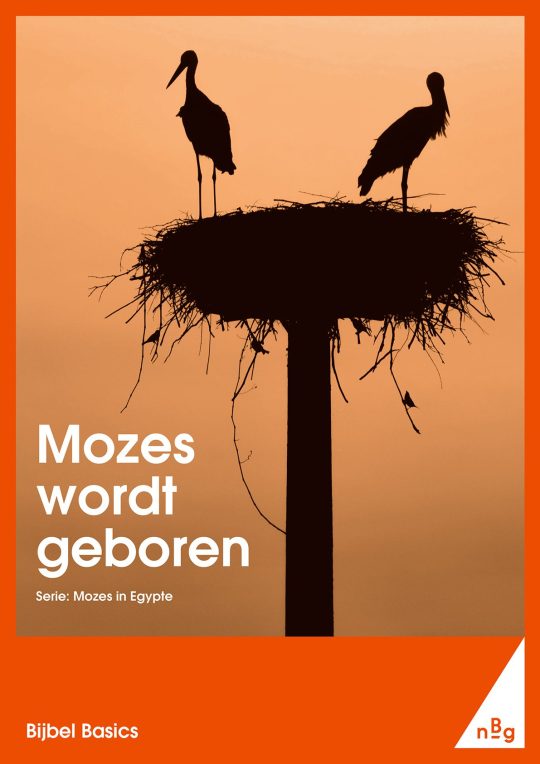 Mozes wordt geboren