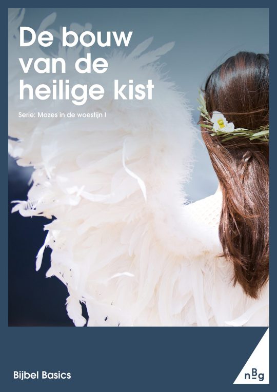 De bouw van de heilige kist