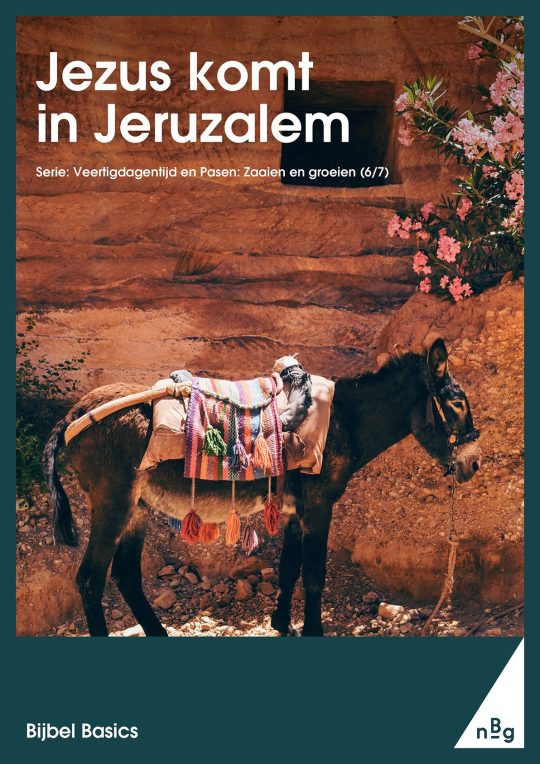 Jezus komt in Jeruzalem