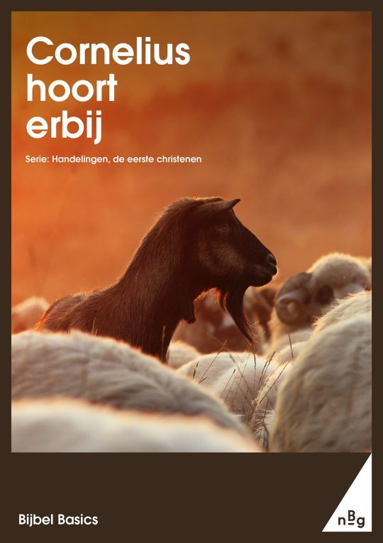 Cornelius hoort erbij