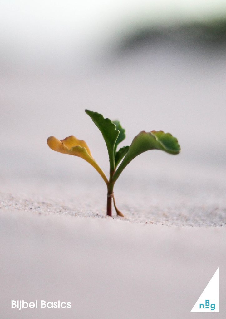 Veertigdagentijd en Pasen I: Zaaien en groeien