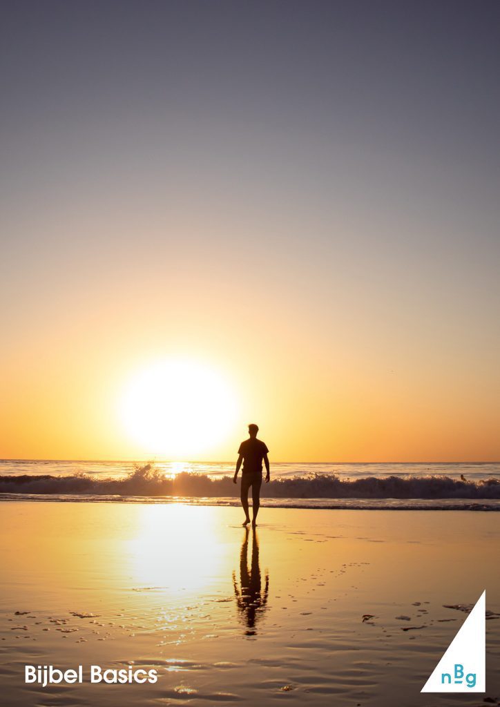 Advent en Kerst IV: Dicht bij het licht