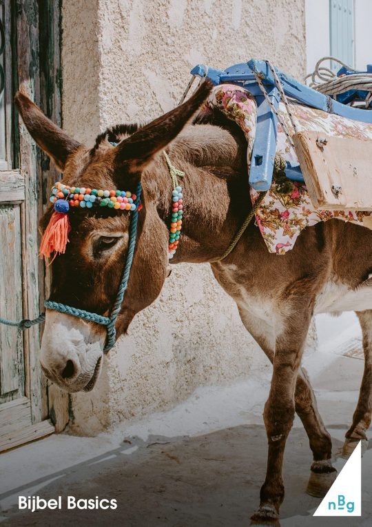 Advent en Kerst V: Tel je mee?